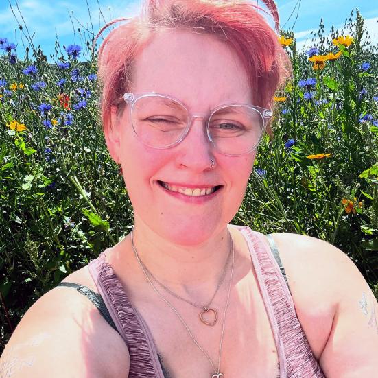 Hvilke bøger 'stemmer' Diana Brandt Pedersen på?